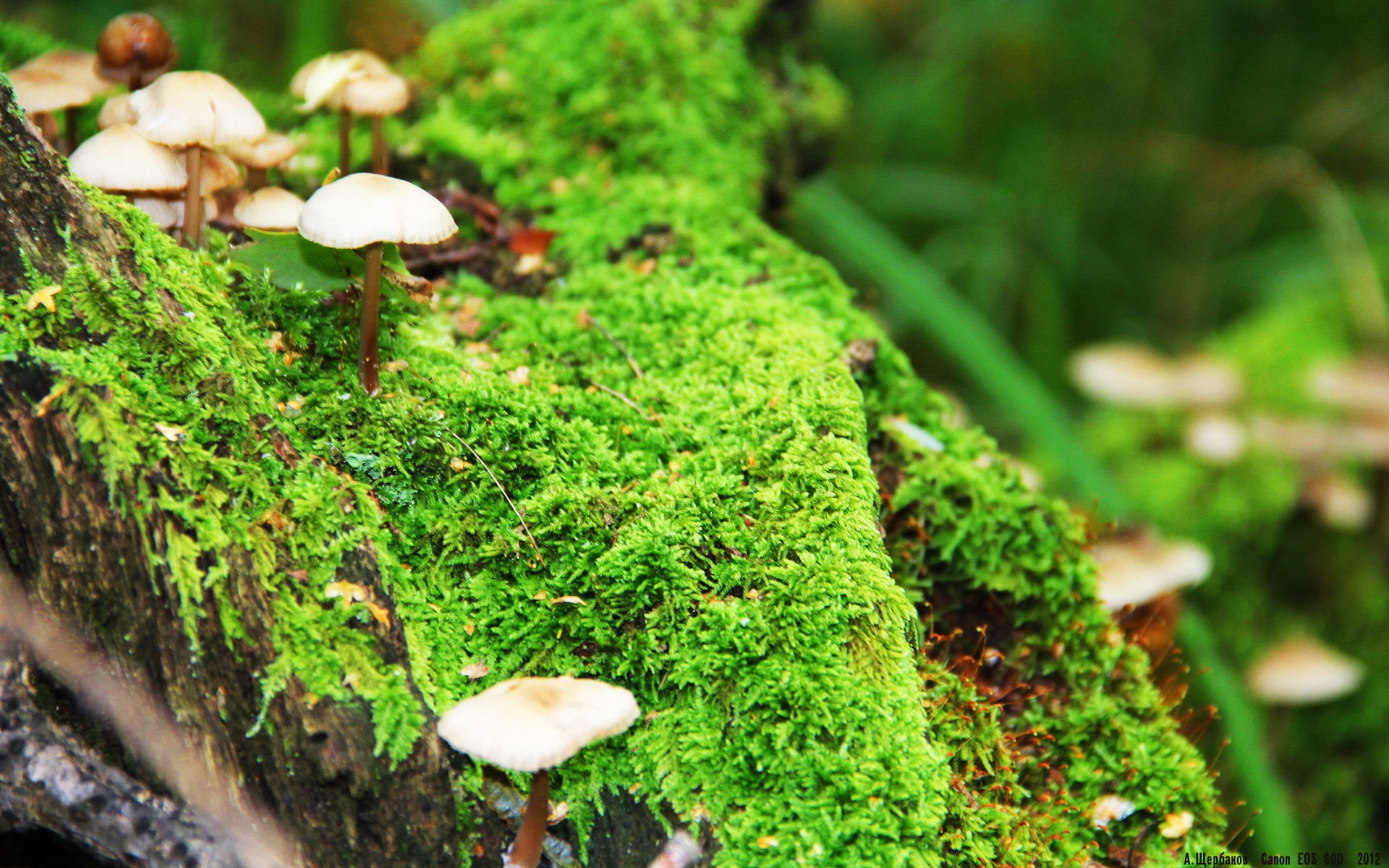 女足世界杯参赛经验积累助力提升，女足世界杯晋级规则