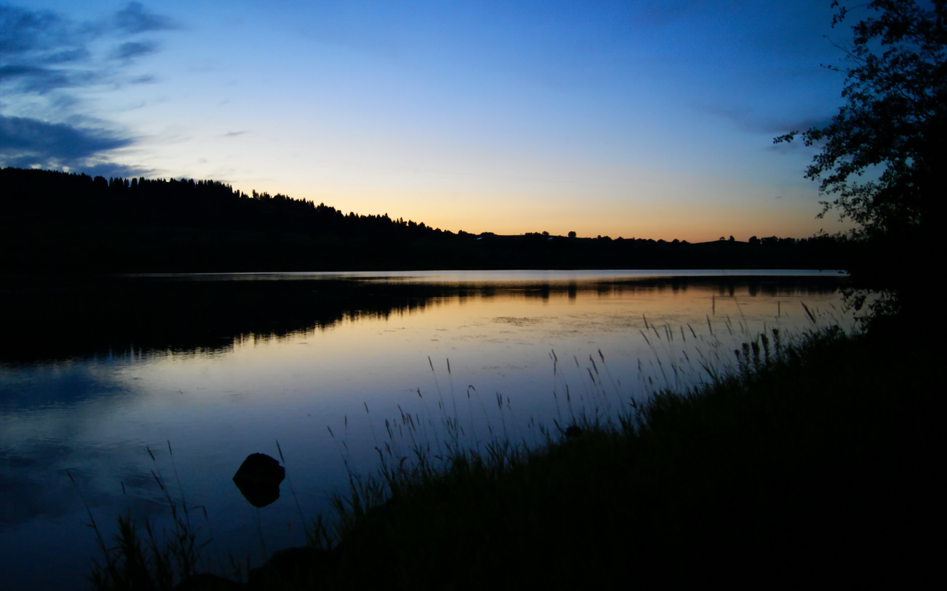 开云在线-电竞赛事争议解决，电竞比赛冲突