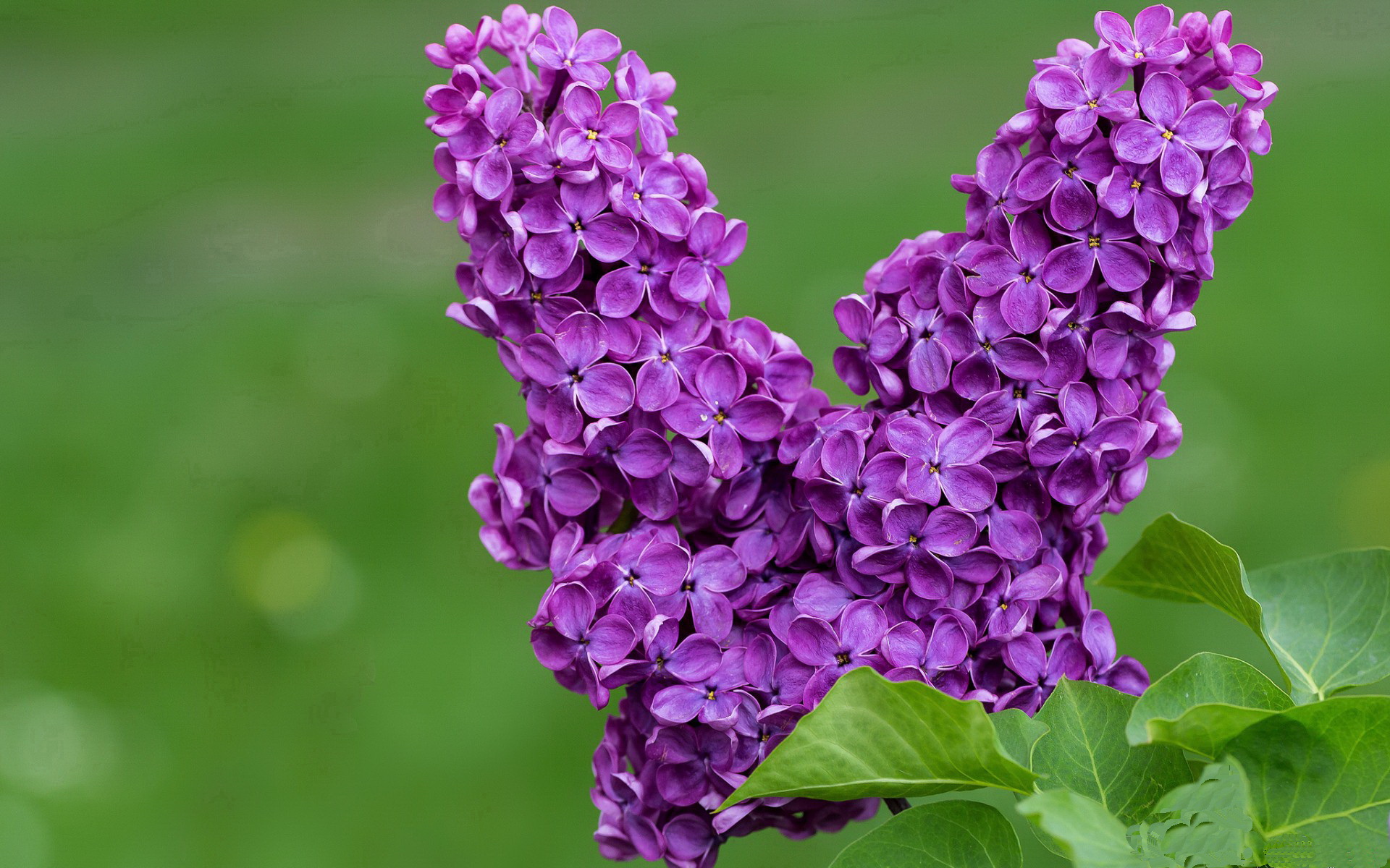 防守才是赢球的关键吗，防守才是赢球的关键吗