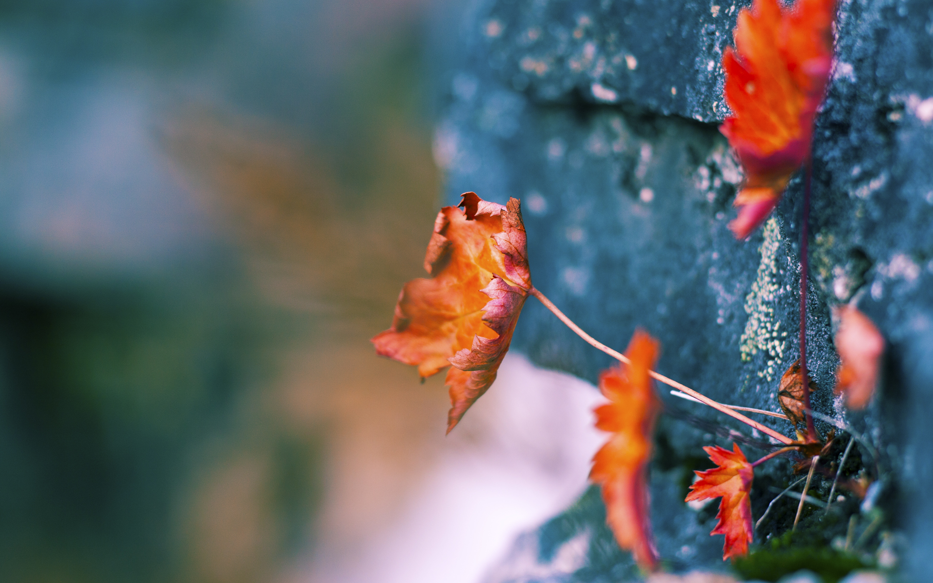 开云体育下载网址-体育赛事舆情演化路径及危机干预机制研究，疫情防控常态下体育赛事的运营困境