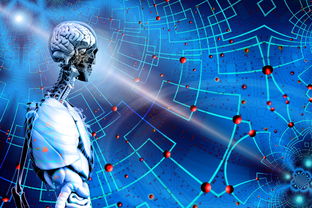 开云体育下载入口-高校运动训练科学管理模式创新，科学的运动训练管理系统应包含哪些方面