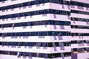 开云体育入口-体育新闻中心建设体育数字内容版权保护体系，体育数据新闻