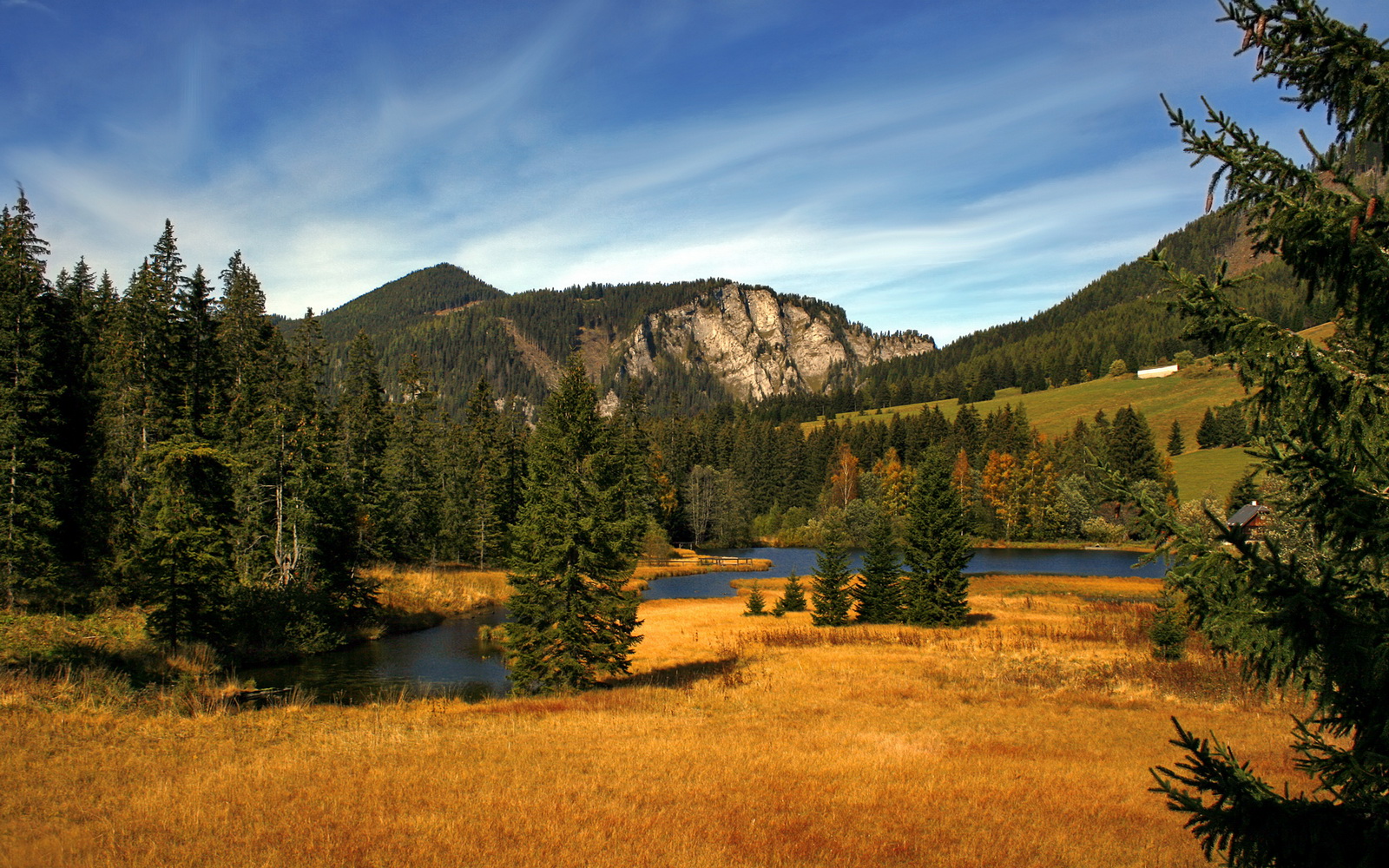 开云体育客户端-该项目划频–配速协调度明显加强