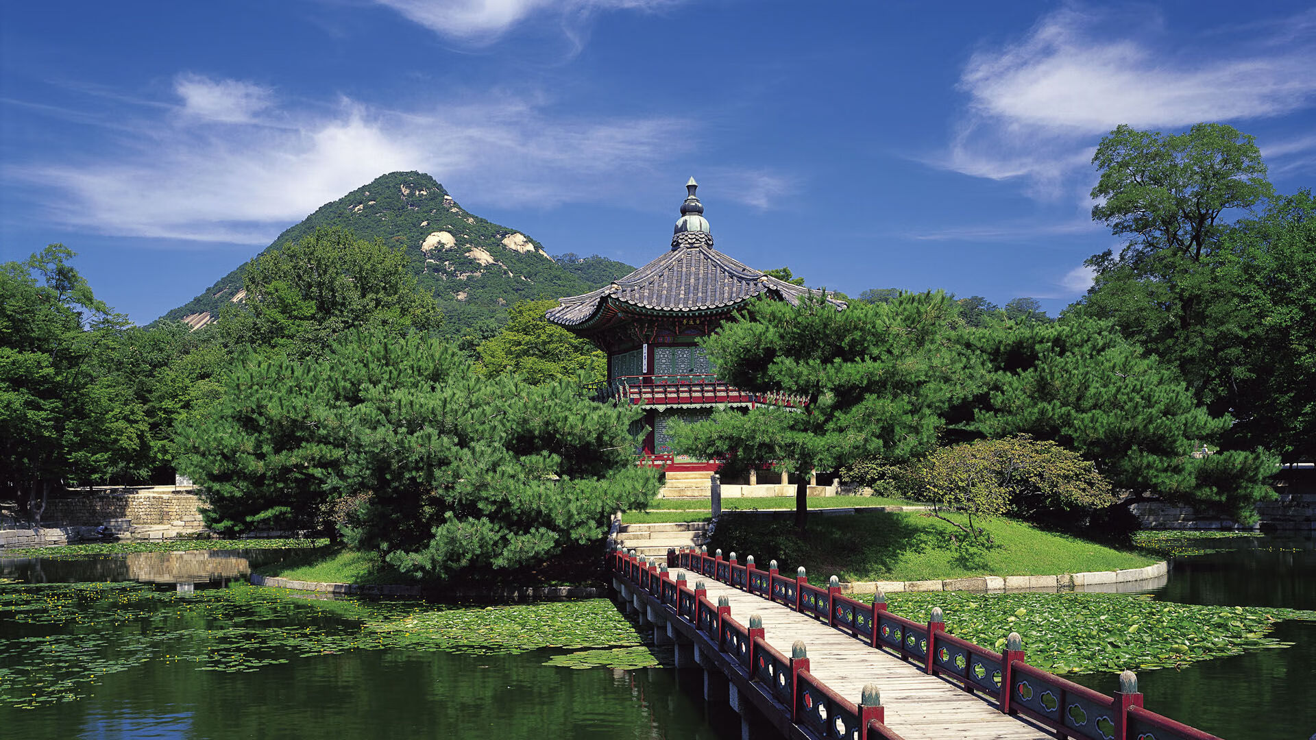 恩多比·恩乔：南非队的关键球员，他的踢球技术无懈可击，恩多cba