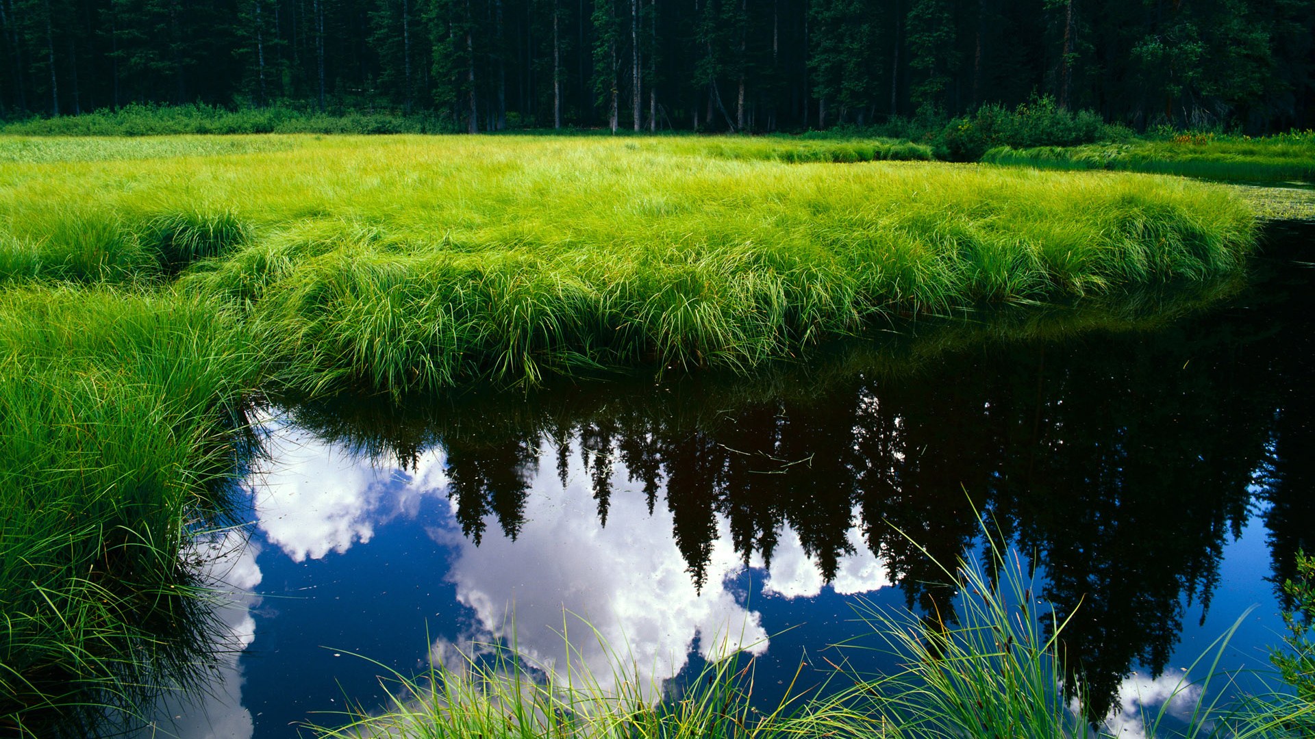教练临场指挥成制胜关键，教练员临场指挥的六个因素