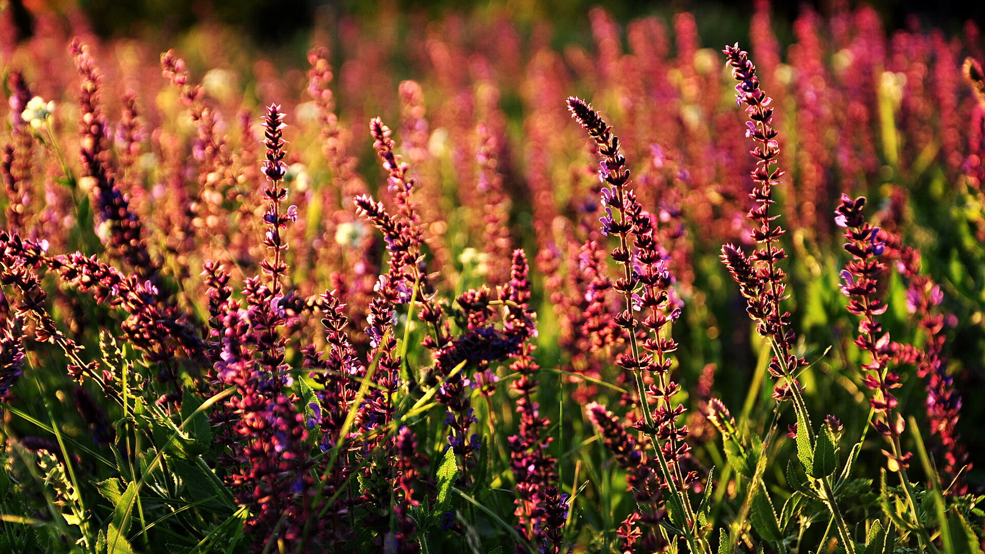 热火通过内部投票选出新赛季场上领袖，热火队领袖